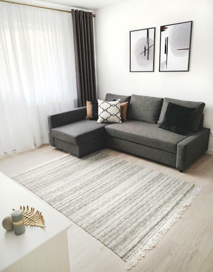 Mhc Quiet Deluxe Suite Near Downtown - Free Parking Braşov Eksteriør billede